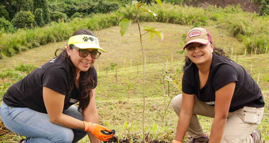 Central America Employees