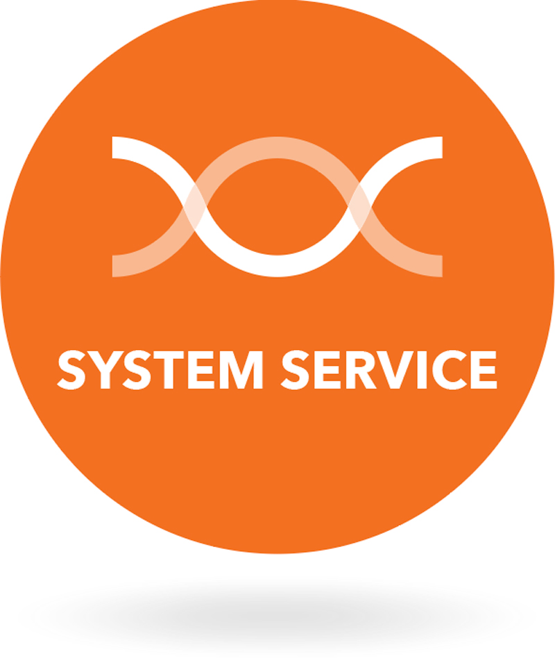 System Service