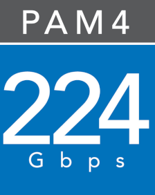 224 Gbps